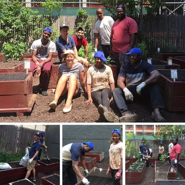 Eating Fresh at ster! Our Backyard Garden is Now Open The ster