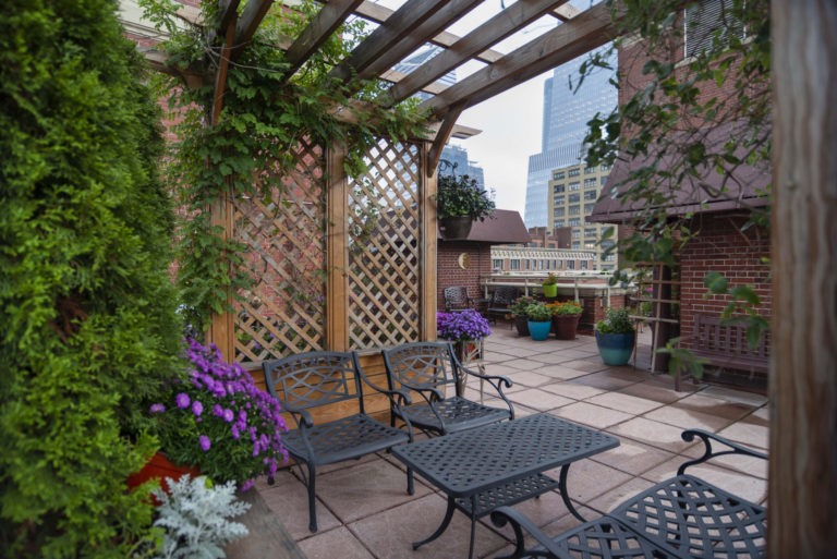 The ster Apartments NYC's Premier Women’s Residence